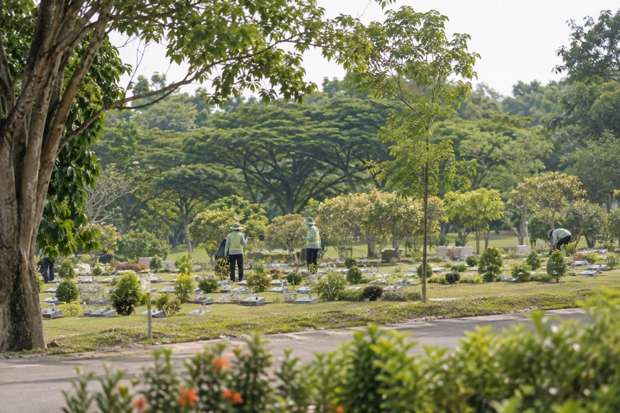 Grounds workers preparing a cemetery site among tropical trees